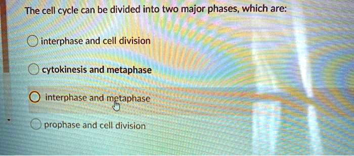 SOLVED: The cell cycle can be divided into two major phases; which are ...