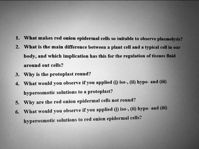 SOLVED What makes red onion epidermal cells so suitable to observe