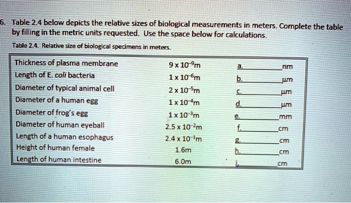 6. Table 2.4 below depicts the relative sizes of biological measurements in meters. Complete the table by filling in the metric units requested. Use the space below for calculations. Table 2.4. Relative size of biological specimens in meters. Thickness of plasma membrane 9 x 10^-9m a. nm Length of E. coli bacteria 1 x 10^-6m b. µm Diameter of typical animal cell 2 x 10^-5m c. µm Diameter of a human egg 1 x 10^-4m d. µm Diameter of frog's egg 1 x 10^-3m e. mm Diameter of human eyeball 2.5 x 10^-2m f. cm Length of a human esophagus 2.4 x 10^-1m g. cm Height of human female 1.6m h. cm Length of human intestine 6.0m i. cm