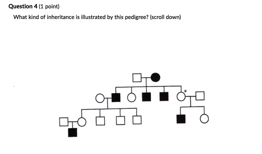 SOLVED: Question 4 (1 point) What kind of inheritance is illustrated by ...