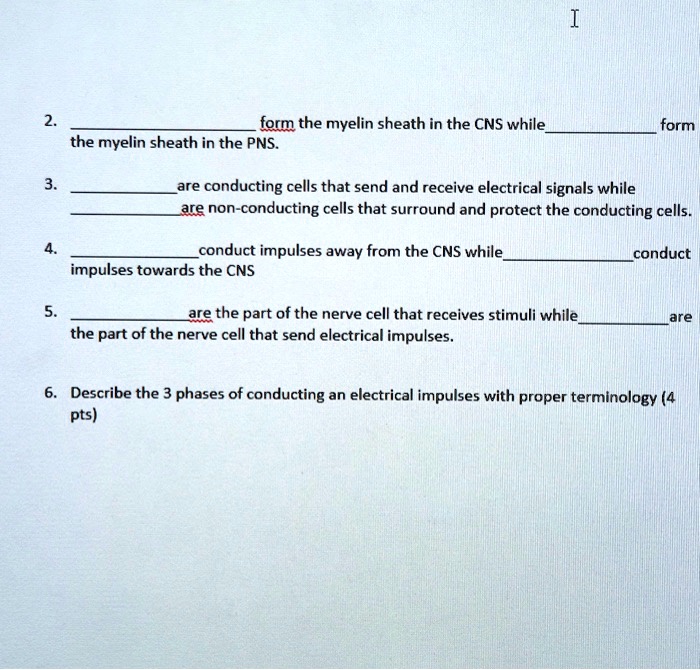 SOLVED: form the myelin sheath in the CNS while the myelin sheath in ...