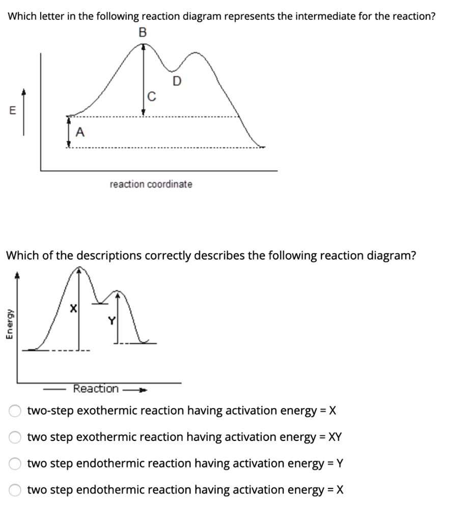 which letter in the following reaction diagram represents the ...