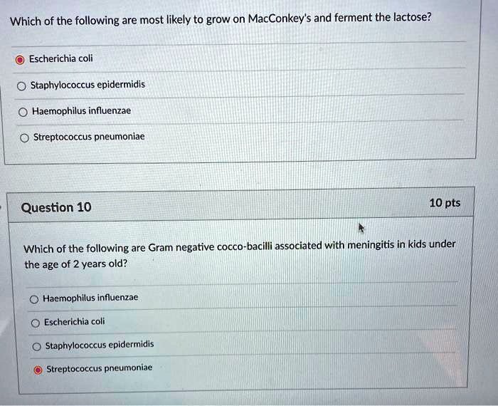 Which of the following are most likely to grow on MacConkey's and ferment the lactose?

Escherichia coli

Staphylococcus epidermidis

Haemophilus influenzae

Streptococcus pneumoniae

Which of the following are Gram negative cocco-bacilli associated with meningitis in kids under the age of 2 years old?

Haemophilus influenzae

Escherichia coli

Staphylococcus epidermidis

Streptococcus pneumoniae