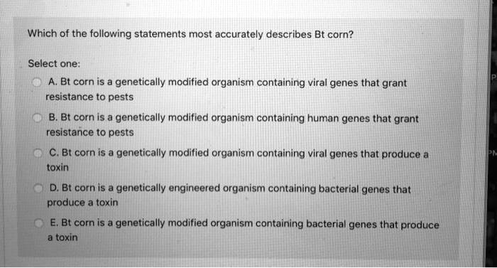 Which of the following statements most accurately describes Bt corn?

Select one:
A. Bt corn is a genetically modified organism containing viral genes that grant resistance to pests
B. Bt corn is a genetically modified organism containing human genes that grant resistance to pests
C. Bt corn is a genetically modified organism containing viral genes that produce a toxin
D. Bt corn is a genetically engineered organism containing bacterial genes that produce a toxin
E. Bt corn is a genetically modified organism containing bacterial genes that produce a toxin