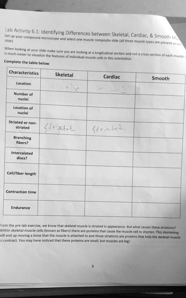 SOLVED: Lab Activity 6.1: Identifying Differences between Skeletal