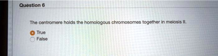 The centromere holds the homologous chromosomes together in meiosis II.
True
False