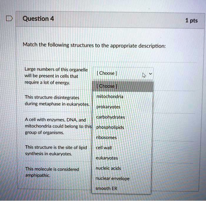 Question 4
Match the following structures to the appropriate description:
Large numbers of this organelle will be present in cells that require a lot of energy.
This structure disintegrates during metaphase in eukaryotes.
A cell with enzymes, DNA, and mitochondria could belong to this group of organisms.
This structure is the site of lipid synthesis in eukaryotes.
This molecule is considered amphipathic.
mitochondria
prokaryotes
carbohydrates
phospholipids
ribosomes
cell wall
eukaryotes
nucleic acids
nuclear envelope
smooth ER
