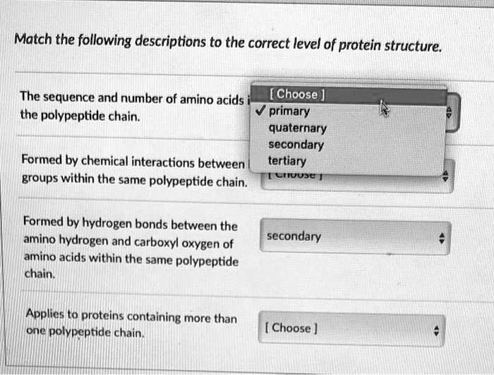 SOLVED: Match the following descriptions to the correct level of