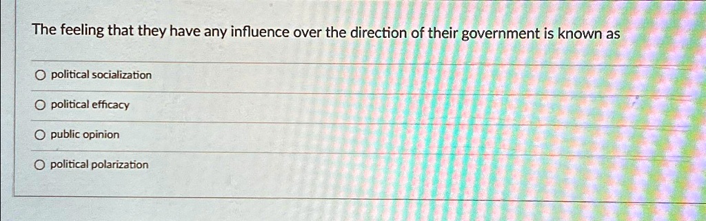 The feeling that they have any influence over the direction of their government is known as
political socialization
political efficacy
public opinion
political polarization