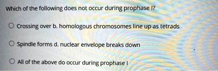 Which of the following does not occur during prophase I?
Crossing over b. homologous chromosomes line up as tetrads
Spindle forms d. nuclear envelope breaks down
All of the above do occur during prophase I