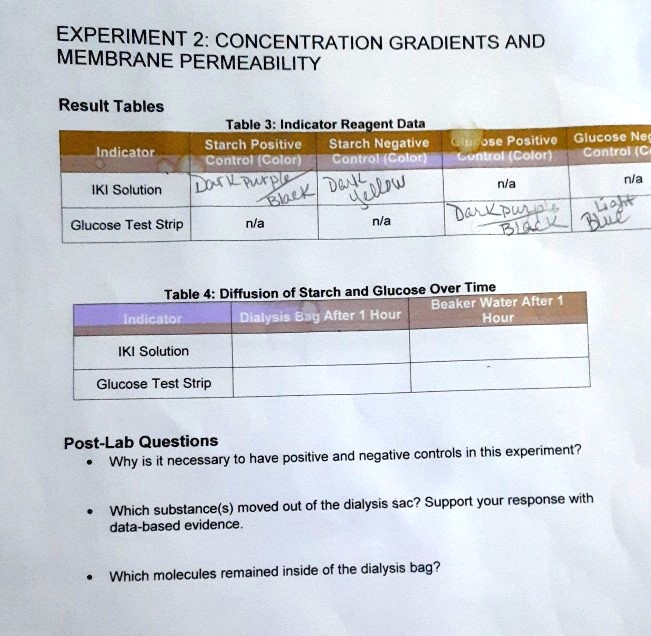 SOLVED Title Experiment 2 Concentration Gradients and Membrane