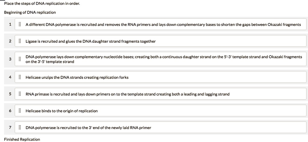 solved-place-the-steps-of-dna-replication-in-order-beginning-of-dna