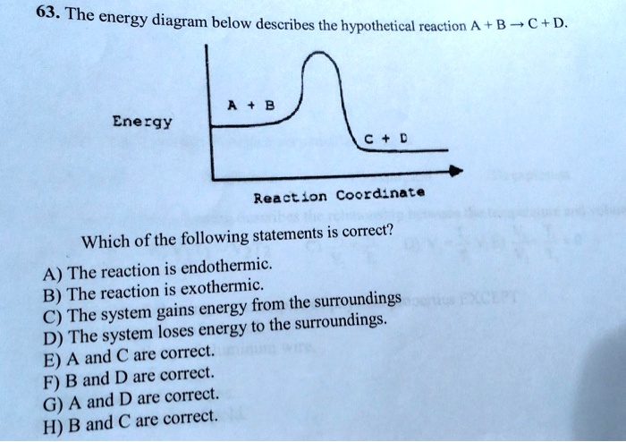 SOLVED: 63. The Energy Diagram Below Describes The Hypothetical ...