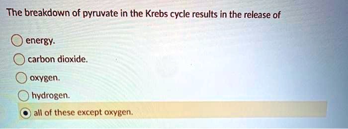 The breakdown of pyruvate in the Krebs cycle results in the release of

energy.
carbon dioxide.
oxygen.
hydrogen.
all of these except oxygen.