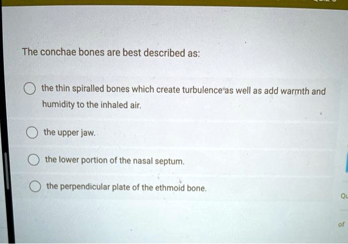 The conchae bones are best described as:
the thin spiralled bones which create turbulence as well as add warmth and
humidity to the inhaled air.
the upper jaw.
the lower portion of the nasal septum.
the perpendicular plate of the ethmoid bone.