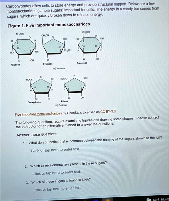 Solved Carbohydrates Allow Cells To Store Energy And Provide Structural Support Below Are A