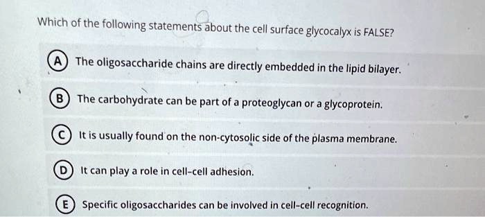Solved:which Of The Following Statements About The Cell Surface Glycocalyx  Is False? The Oligosaccharide Chains Are Directly Embedded In The Lipid  Bilayer: The Carbohydrate Can Be Part Of = Proteoglycan Or A Solved:which Of The Following Statements About The Cell Surface Glycocalyx  Is False? The Oligosaccharide Chains Are Directly Embedded In The Lipid  Bilayer: The Carbohydrate Can Be Part Of = Proteoglycan Or A
