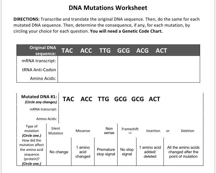 DNA Mutations Worksheet DIRECTIONS: Transcribe and translate the ...
