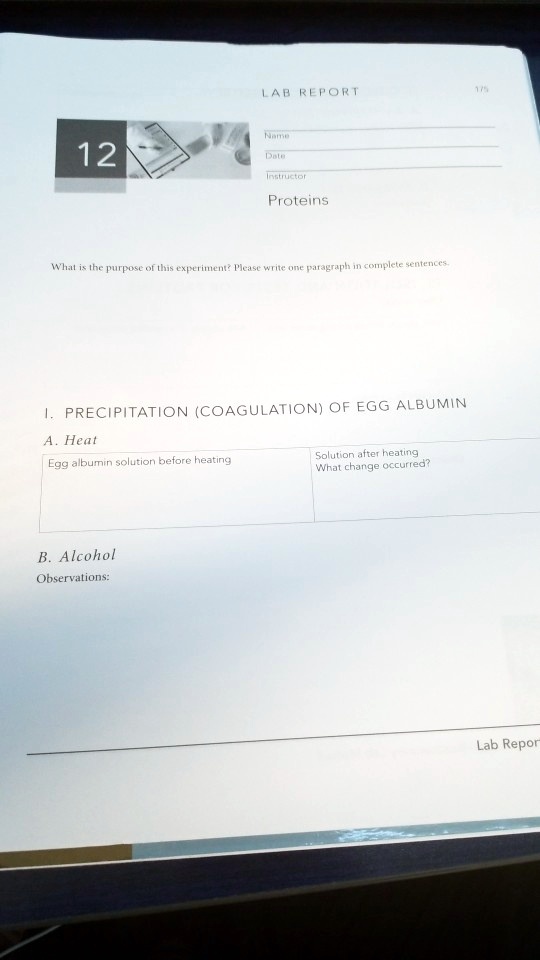 Solved: A Lab Report On Protein Precipitation (coagulation) Of Egg 