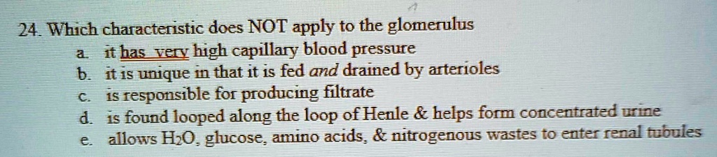 24. Which characteristic does NOT apply to the glomerulus
a. it has very high capillary blood pressure
b. it is unique in that it is fed and drained by arterioles
c. is responsible for producing filtrate
d. is found looped along the loop of Henle     helps form concentrated urine
e. allows H2O, glucose, amino acids,     nitrogenous wastes to enter renal tubules