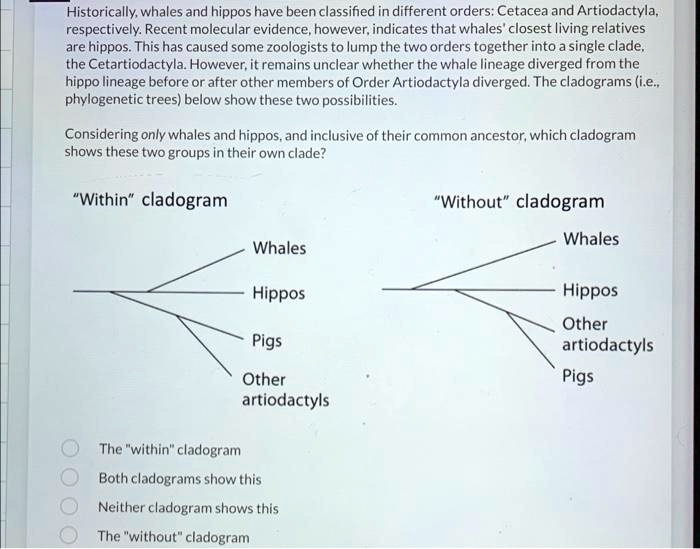 SOLVED: Historically, whales and hippos have been classified in