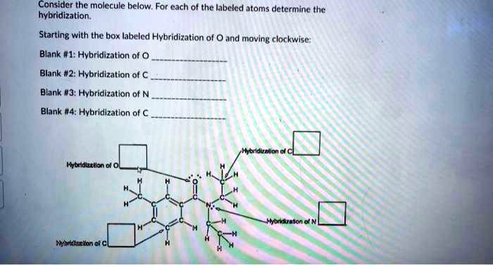 Consider the molecule below for each of the labeled atoms...
