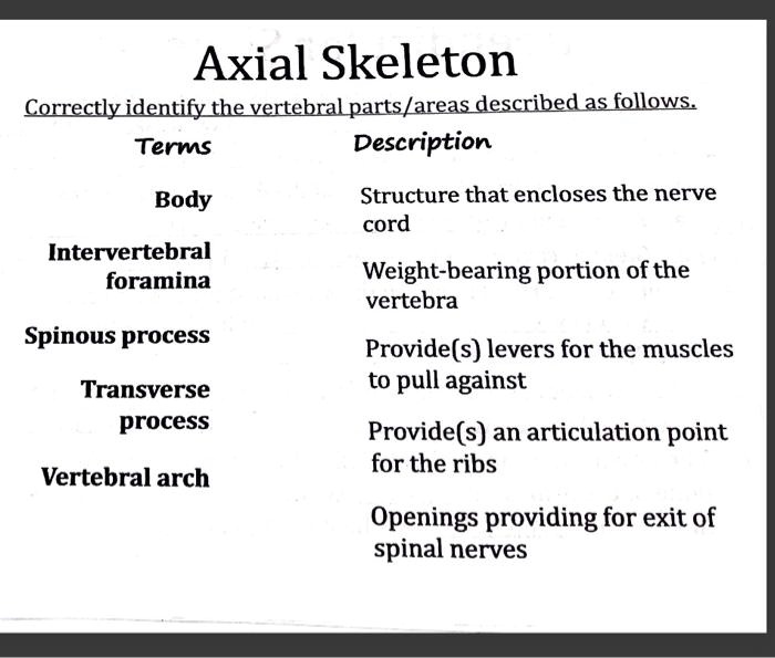 SOLVED Correctly identify the vertebral parts/areas described as