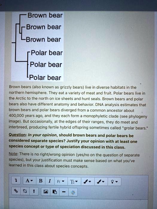 Brown bear
Brown bear
Brown bear
Polar bear
Polar bear
Polar bear
Brown bears (also known as grizzly bears) live in diverse habitats in the northern hemisphere. They eat a variety of meat and fruit. Polar bears live in the Arctic to the north on ice sheets and hunt seals. Brown bears and polar bears also have different anatomy and behavior. DNA analysis estimates that brown bears and polar bears diverged from a common ancestor about 400,000 years ago, and they each form a monophyletic clade (see phylogeny image). But occasionally, at the edges of their ranges, they do meet and interbreed, producing fertile hybrid offspring sometimes called "grolar bears."
Question: In your opinion, should brown bears and polar bears be considered separate species? Justify your opinion with at least one species concept or type of speciation discussed in this class.
Note: There is no right/wrong opinion (yes/no on the question of separate species), but your justification must make sense based on what you've learned in this class about species concepts.