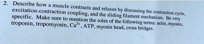 Video Solution: Describe How A Muscle Contracts And Relaxes By 