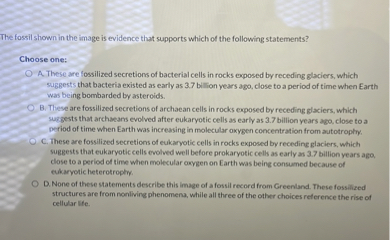 The fossil shown in the image is evidence that supports which of the following statements?

Choose one:
A. These are fossilized secretions of bacterial cells in rocks exposed by receding glaciers, which suggests that bacteria existed as early as 3.7 billion years ago, close to a period of time when Earth was being bombarded by asteroids.
B. These are fossilized secretions of archaean cells in rocks exposed by receding glaciers, which suggests that archaeans evolved after eukaryotic cells as early as 3.7 billion years ago, close to a period of time when Earth was increasing in molecular oxygen concentration from autotrophy.
C. These are fossilized secretions of eukaryotic cells in rocks exposed by receding glaciers, which suggests that eukaryotic cells evolved well before prokaryotic cells as early as 3.7 billion years ago, close to a period of time when molecular oxygen on Earth was being consumed because of eukaryotic heterotrophy.
D. None of these statements describe this image of a fossil record from Greenland. These fossilized structures are from nonliving phenomena, while all three of the other choices reference the rise of cellular life.
