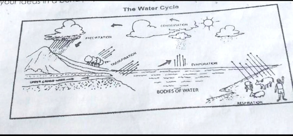 Water Cycle Diagram, Drawing for Kids of Class 3, 4-cacanhphuclong.com.vn