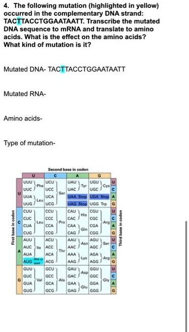 4. The following mutation (highlighted in yellow) occurred in the ...
