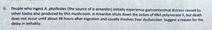 6. People who ingest A. phalloides (the source of ?-amanitin) initially experience gastrointestinal distress caused by other toxins also produced by this mushroom. ?-Amanitin shuts down the action of RNA polymerase II, but death does not occur until about 48 hours after ingestion and usually involves liver dysfunction. Suggest a reason for the delay in lethality.