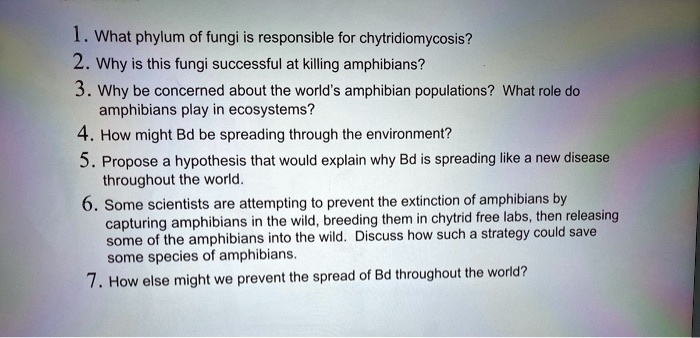 SOLVED: What phylum of fungi is responsible for chytridiomycosis? 2