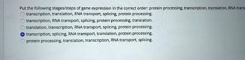 Put the following stages/steps of gene expression in the correct order: protein processing, transcription, translation, RNA transport, splicing
transcription, translation, RNA transport, splicing, protein processing.
transcription, RNA transport, splicing, protein processing, translation.
translation, transcription, RNA transport, splicing, protein processing.
transcription, splicing, RNA transport, translation, protein processing.
protein processing, translation, transcription, RNA transport, splicing.