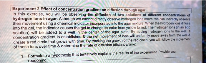 effect of concentration on the rate of diffusion