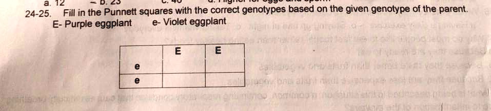 a. 12 24-25. Fill in the Punnett squares with the correct genotypes ...