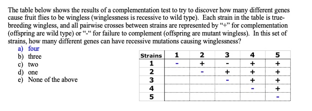 The table below shows the results of a complementation test to try to discover how many different genes
cause fruit flies to be wingless (winglessness is recessive to wild type). Each strain in the table is true-
breeding wingless, and all pairwise crosses between strains are represented by "+" for complementation
(offspring are wild type) or "-" for failure to complement (offspring are mutant wingless). In this set of
strains, how many different genes can have recessive mutations causing winglessness?
a) four
b) three
c) two
d) one
e) None of the above
Strains 1 2 3 4 5
1 - + - + +
2 - + + +
3 - + +
4 - +
5 -