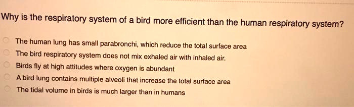 Why is the respiratory system of a bird more efficient than the human respiratory system?

The human lung has small parabronchi, which reduce the total surface area
The bird respiratory system does not mix exhaled air with inhaled air.
Birds fly at high altitudes where oxygen is abundant
A bird lung contains multiple alveoli that increase the total surface area
The tidal volume in birds is much larger than in humans