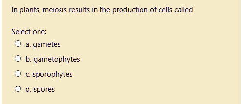 In plants, meiosis results in the production of cells called
Select one:
a. gametes
b. gametophytes
c. sporophytes
d. spores