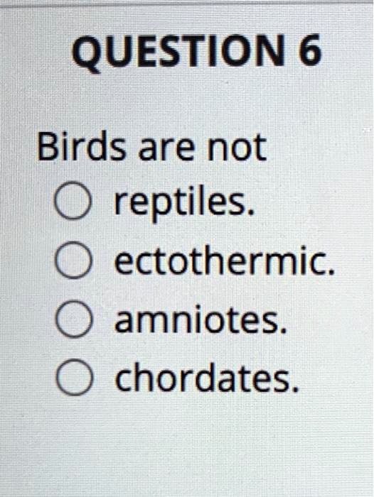 SOLVED: QUESTION 6 Birds are not reptiles. ectothermic. amniotes