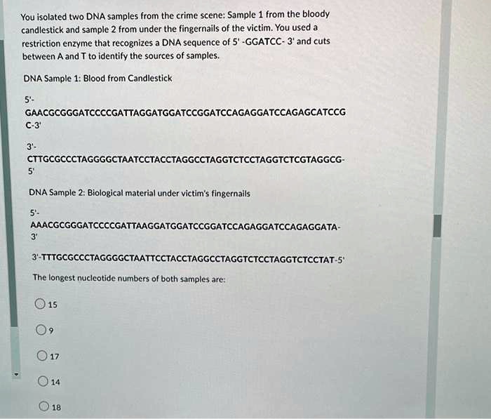 SOLVED: You Isolated Two DNA Samples From The Crime Scene: Sample 1 ...