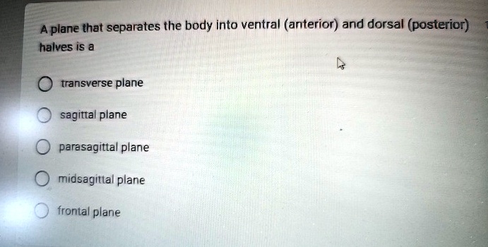Halves Body Part A plane that separates the body into ventral (anterior) and dorsal ...