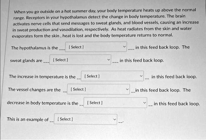 When you go outside on a hot summer day, your body temperature heats up ...