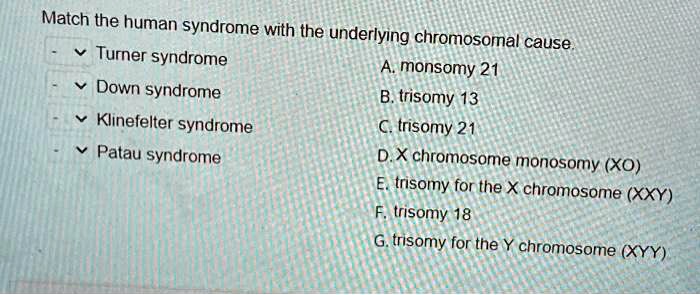 SOLVED: Match The Human Syndrome With The Underlying Chromosomal Cause ...