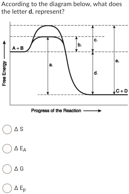 solved-according-to-the-diagram-below-what-does-the-letter-d