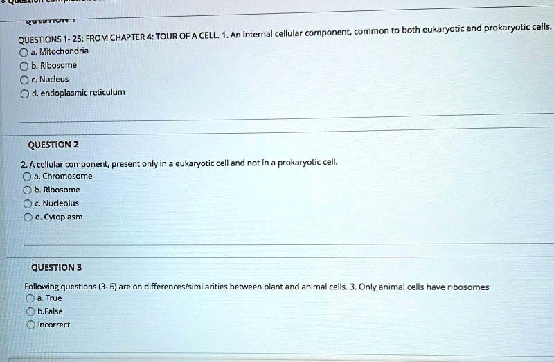 SOLVED An internal cellular component; common to both eukaryotic and