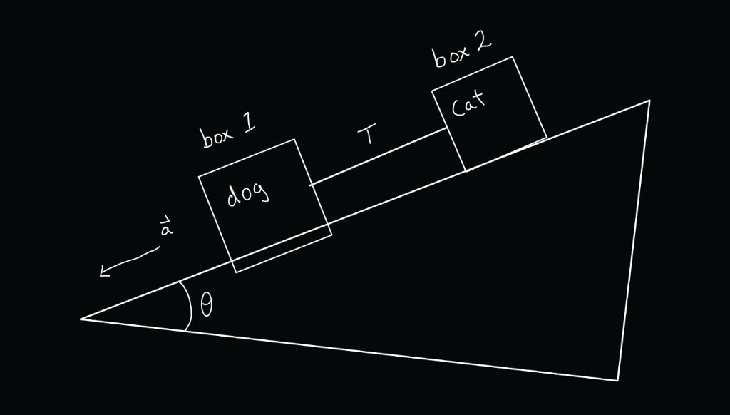 SOLVED: Two boxes containing puppies (box 1) and kittens (box 2 ...