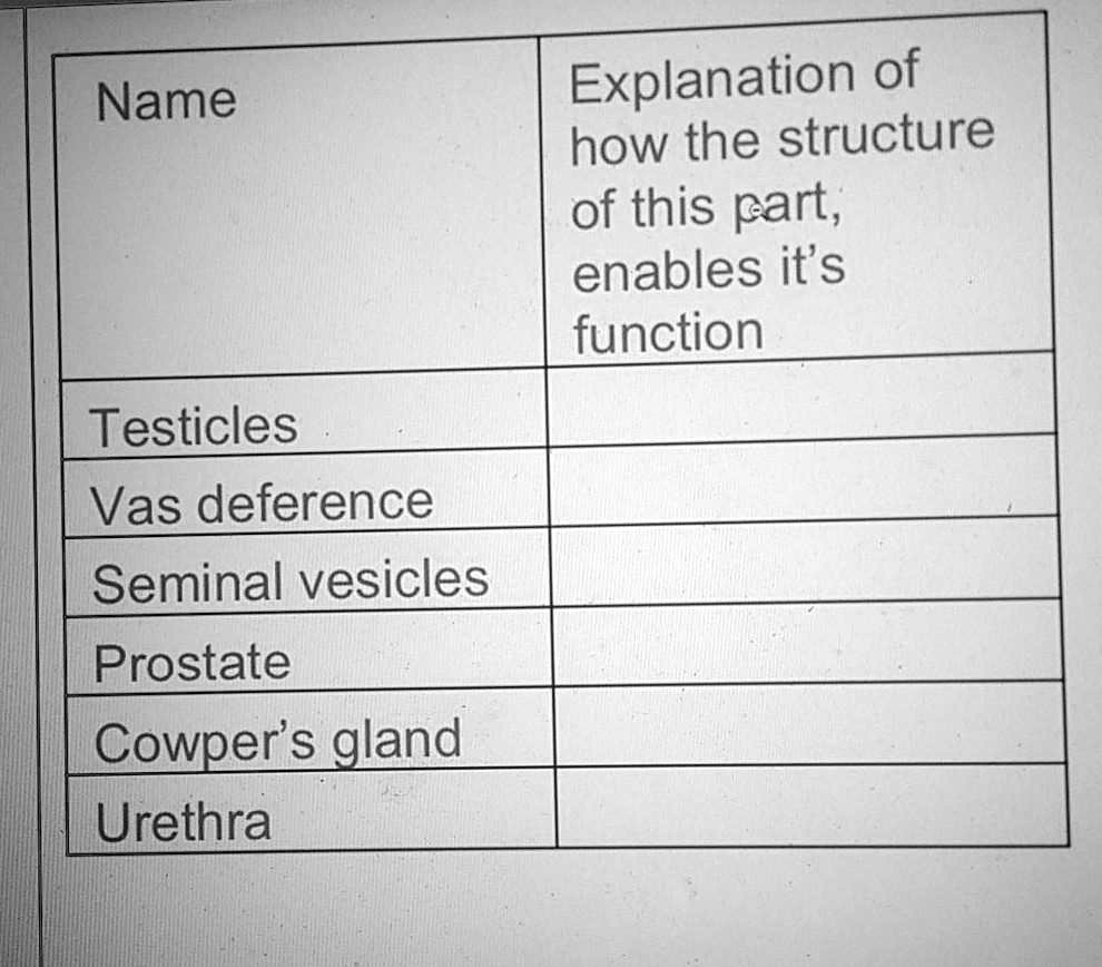 SOLVED Name Explanation of how the structure of this part; enables it