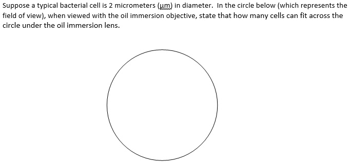 SOLVED: Suppose typical bacterial cell is micrometers (um) in diameter ...